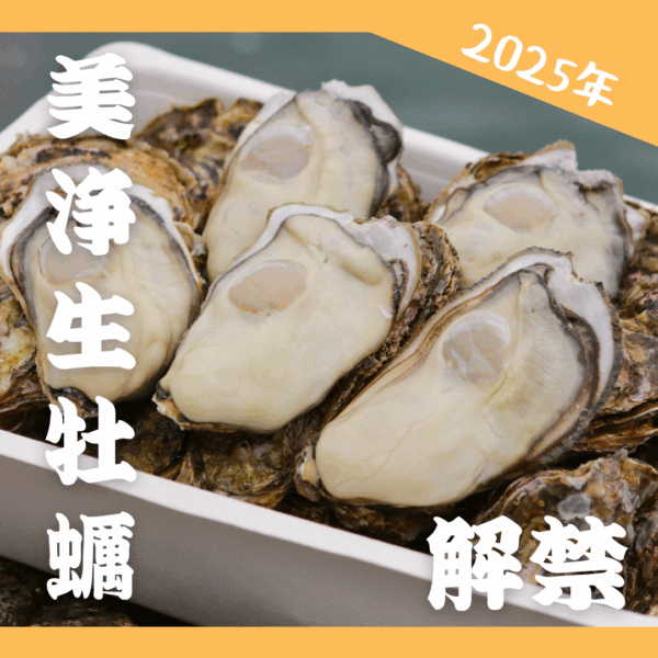 【2025年産】美浄生牡蠣シーズン開幕｜今年の品質と販売開始準備状況
