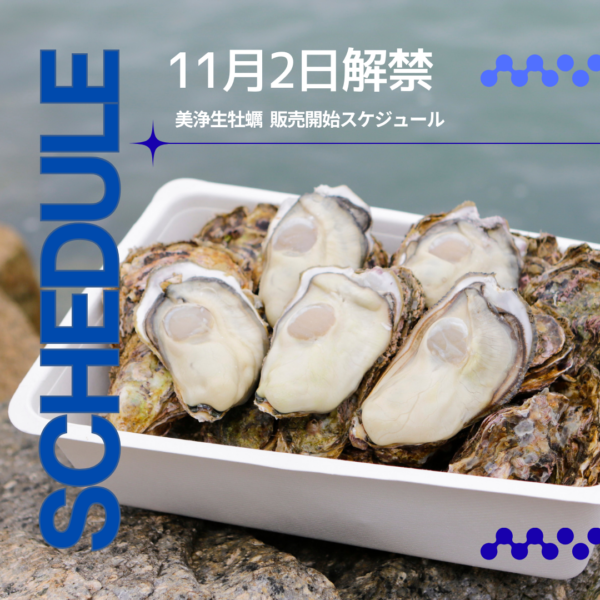生牡蠣いつから販売?11月2日解禁後の販売開始スケジュール【2026年版】